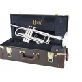 LR180S43 Trumpet on Case