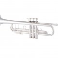 AB190S Trumpet