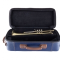 Bach 19043 Professional Trumpet in Case