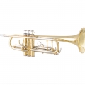 Bach BTR301 Trumpet