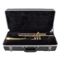 Bach BTR301 Trumpet inside Case
