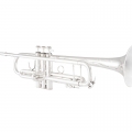 Bach 190S37 Trumpet