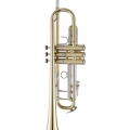 19037 Professional Trumpet