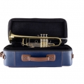 Bach 19043 Professional Trumpet on Case