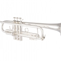 LR180S43 Trumpet