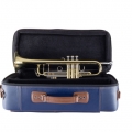 19037 Professional Trumpet on Case