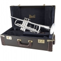 AB190S Trumpet on top of Case