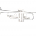 LR180S43 Trumpet